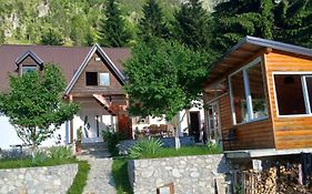 Bujtina Albjoni